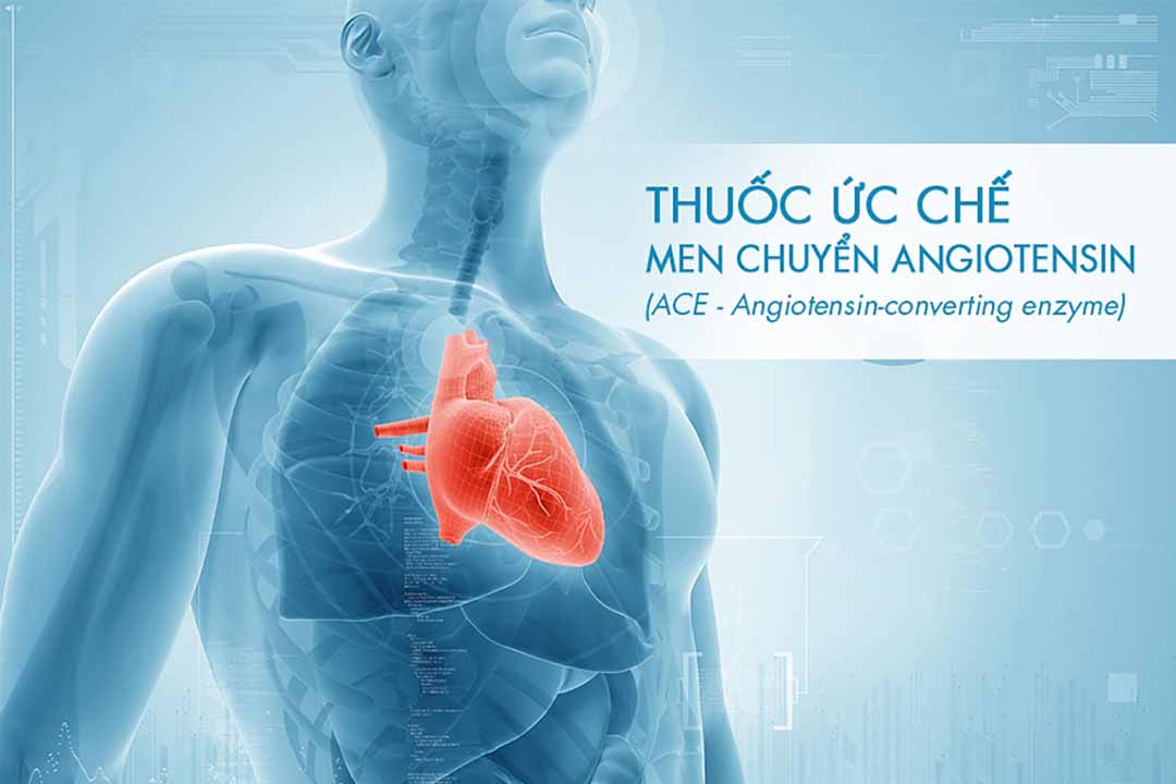 Thuốc ức chế men chuyển angiotensin (ACE - Angiotensin-converting enzyme) và bệnh tim