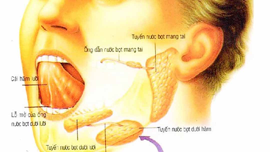Miệng bị đau, hàm và cổ bị sưng tấy, lưỡi hoặc mặt có thể bị tê liệt.