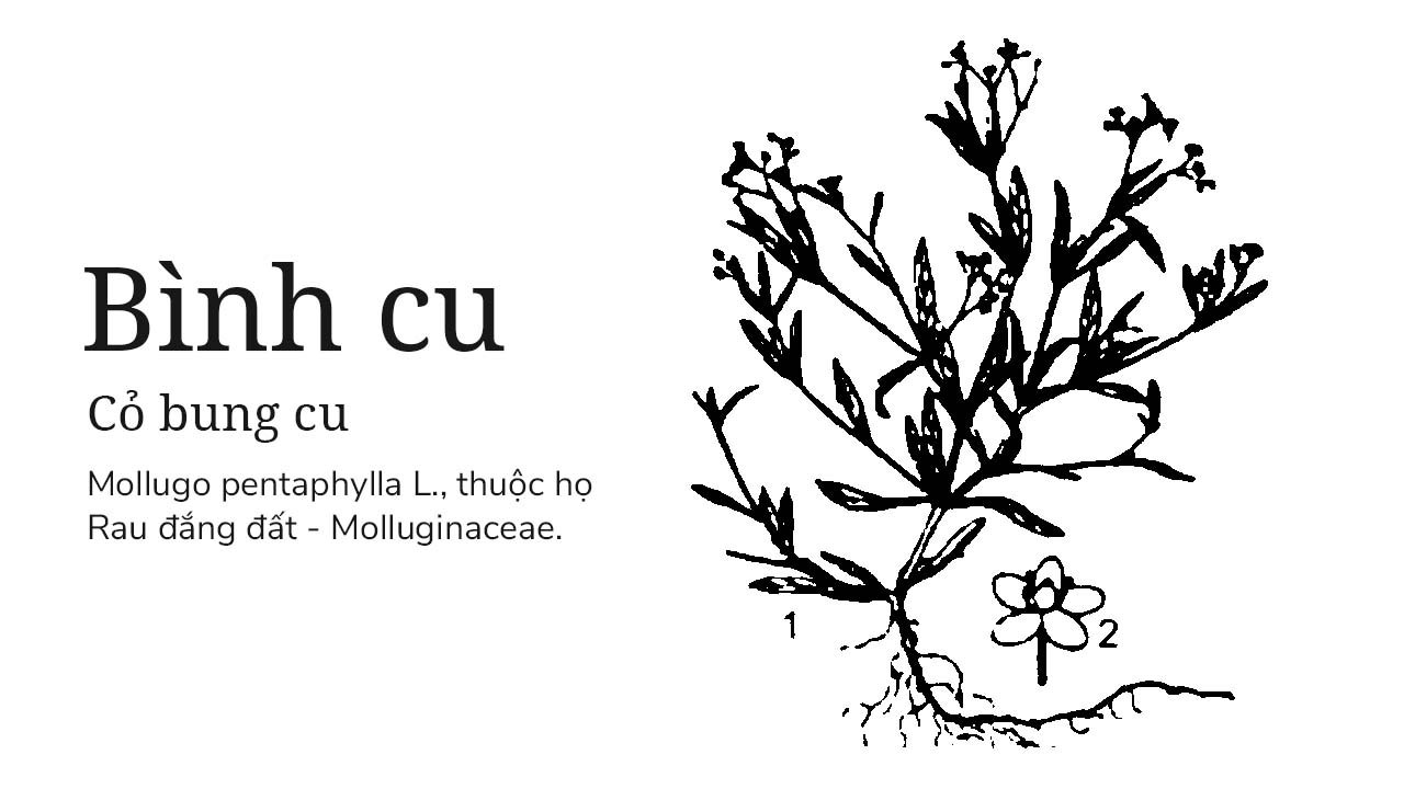 Bình cu