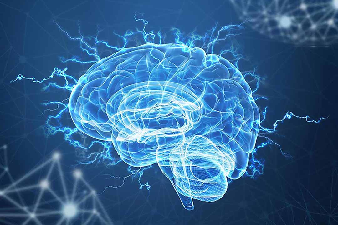 Nghiên cứu nổi bật về những phương pháp mới nhằm cung cấp thuốc dành cho não bộ