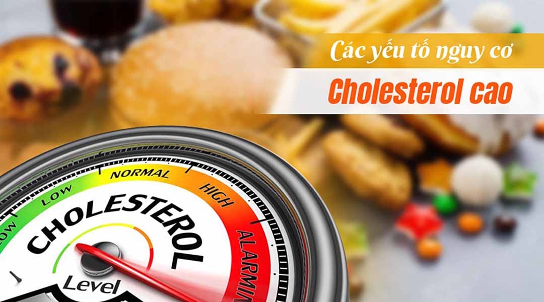 Các yếu tố nguy cơ của cholesterol cao