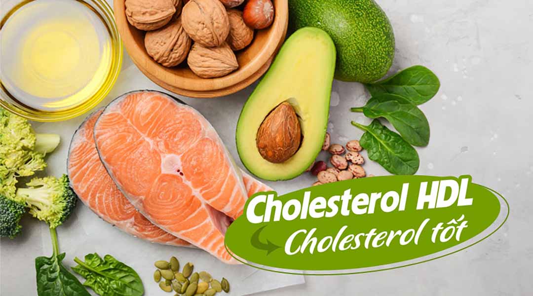 Cholesterol HDL: Cholesterol tốt