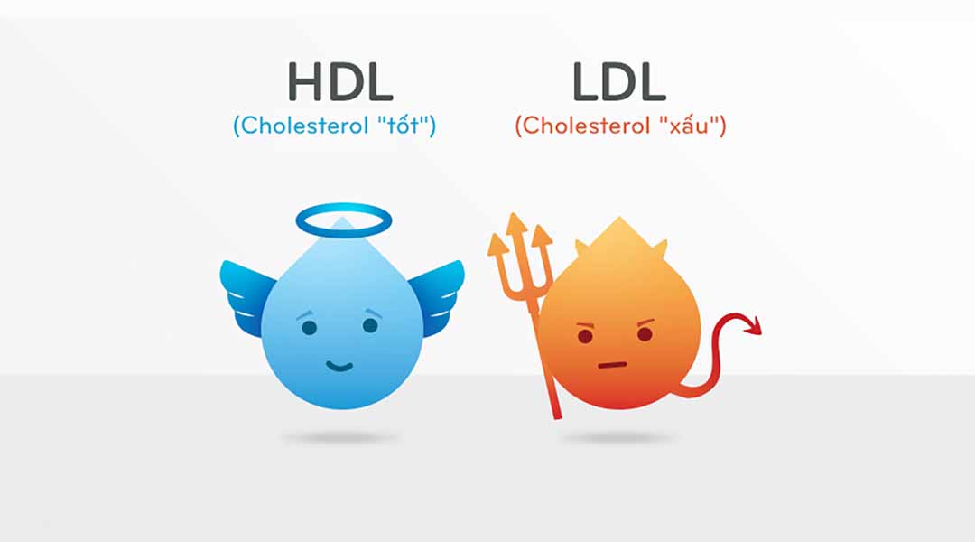 LDL và HDL giúp phát hiện ra lượng cholesterol cao có trong cơ thể người.