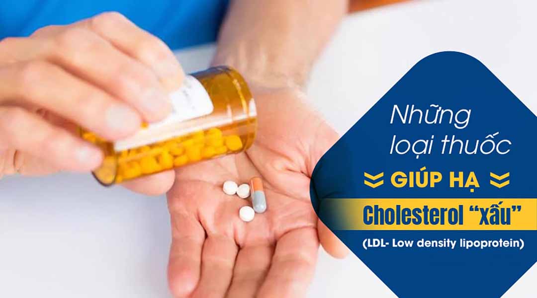 Những loại thuốc giúp hạ Cholesterol “xấu” (LDL- Low density lipoprotein)?