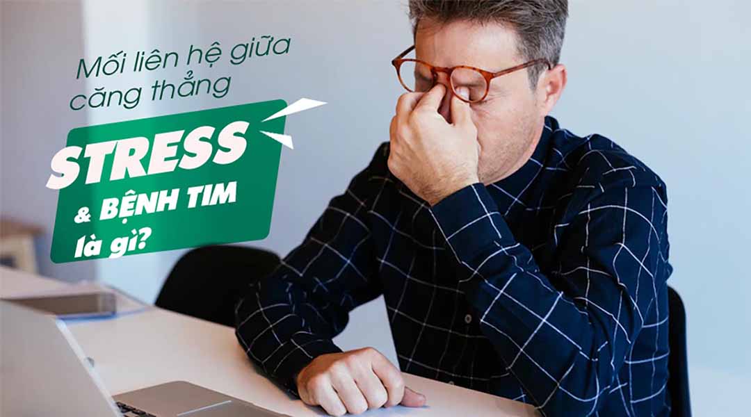 Mối liên hệ giữa căng thẳng (stress) và bệnh tim là gì?