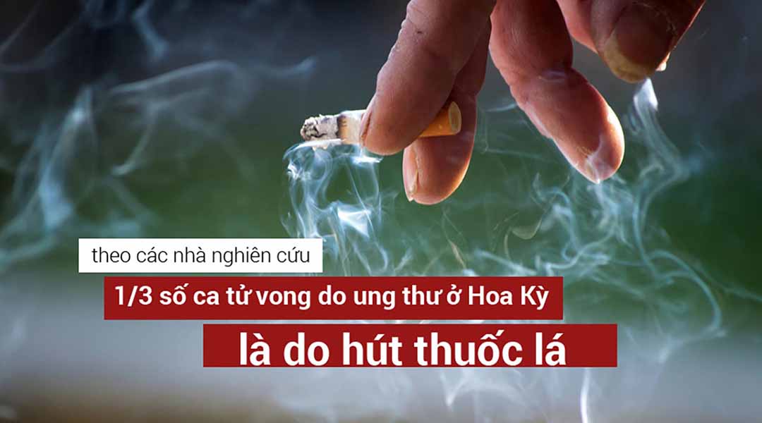 Hút thuốc lá gây ra một phần ba số ca tử vong do ung thư ở Hoa Kỳ