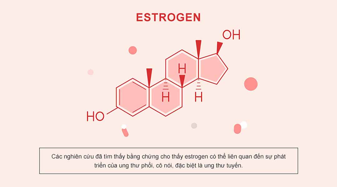 Liệu pháp hormone được thực hiện trong thời kỳ mãn kinh làm tăng nguy cơ tử vong do ung thư phổi.