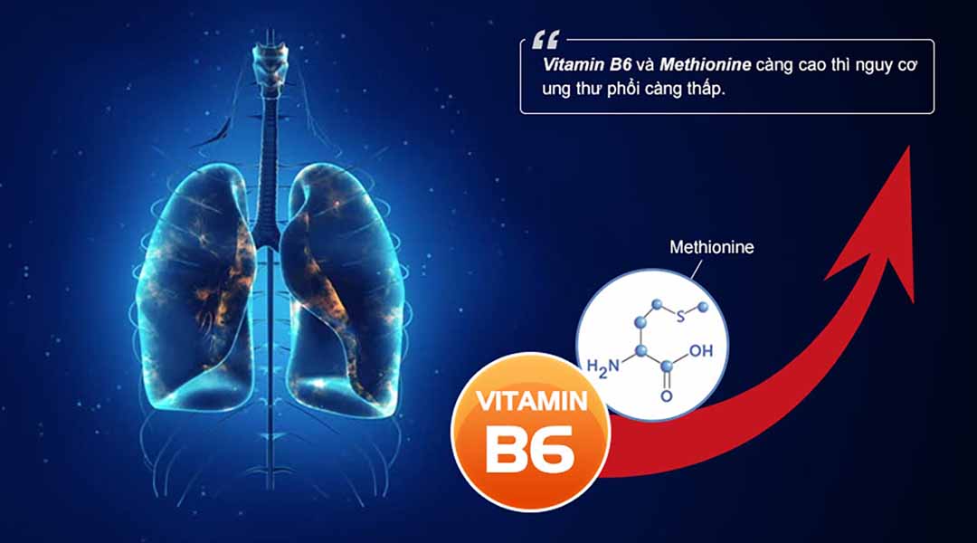 Những người thuộc nhóm vitamin B cao nhất có nguy cơ ung thư phổi giảm 56% so với những người thuộc nhóm thấp nhất.
