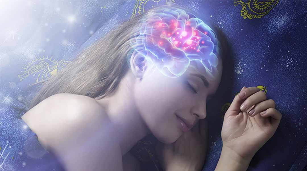 Giấc ngủ đóng vai trò trong việc loại bỏ độc tố ra khỏi não.