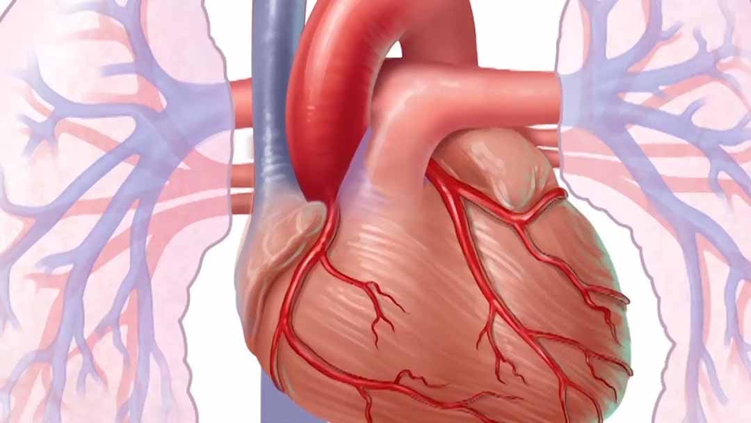 Ho khan, đặc biệt tăng lên khi nằm.