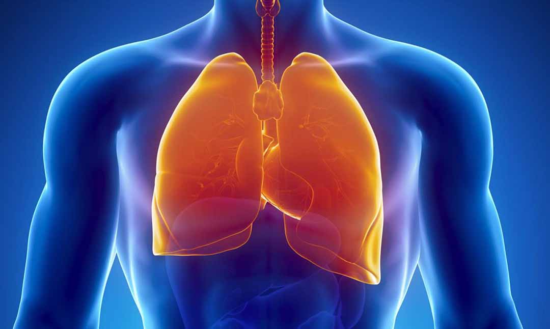 Bệnh ở phổi và những nguy hại đối với sức khỏe