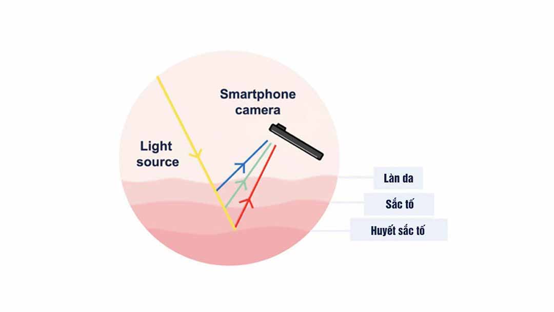 Đây là công nghệ sử dụng ánh sáng để xuyên qua da và cảm biến quang học trong điện thoại thông minh để tạo ra hình ảnh về dòng chảy của máu. Sau đó những hình ảnh này được sử dụng để dự đoán huyết áp.