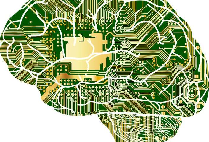 Học máy phát hiện ra các loại bệnh sa sút trí tuệ với ý nghĩa cho các thử nghiệm thuốc - Nhà cung cấp hình ảnh: Pixabay, Gordon Johnson