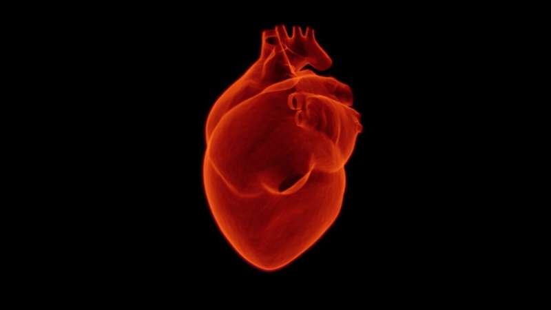 Nghiên cứu mới xác định các gen có nhiều khả năng nhất dẫn đến cơn đau tim
