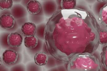 Cancer-Immu: Cổng dữ liệu giúp dự đoán các đáp ứng với liệu pháp miễn dịch ức chế điểm kiểm soát miễn dịch