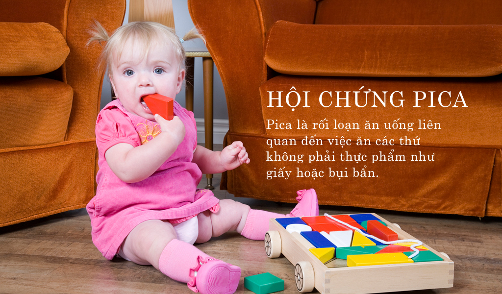 Hội chứng Pica