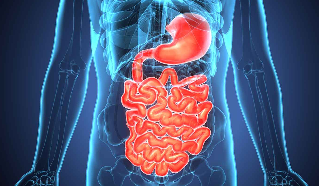 Hội chứng ruột kích thích (IBS)