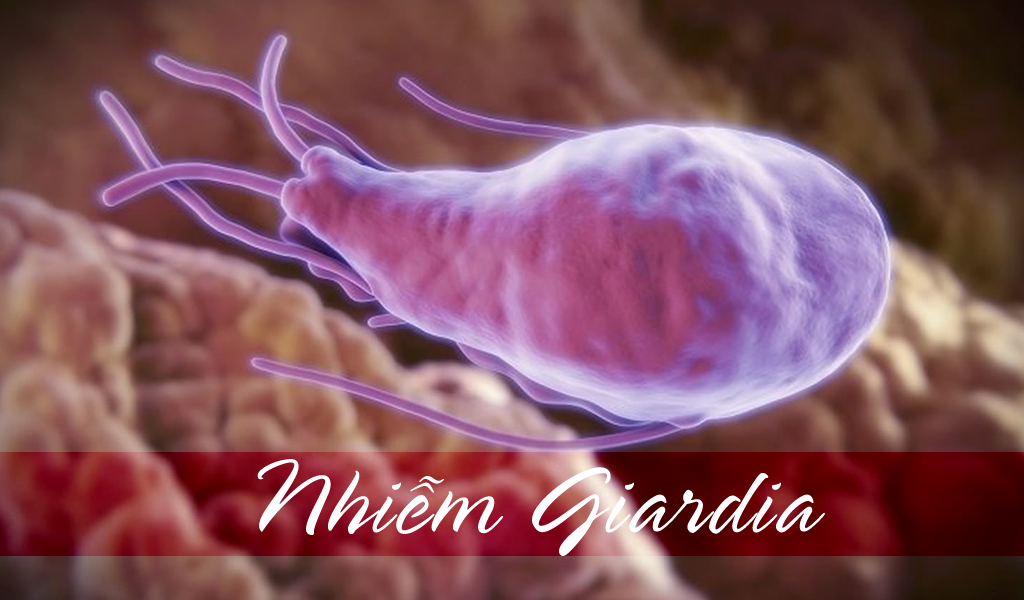 Nhiễm Giardia